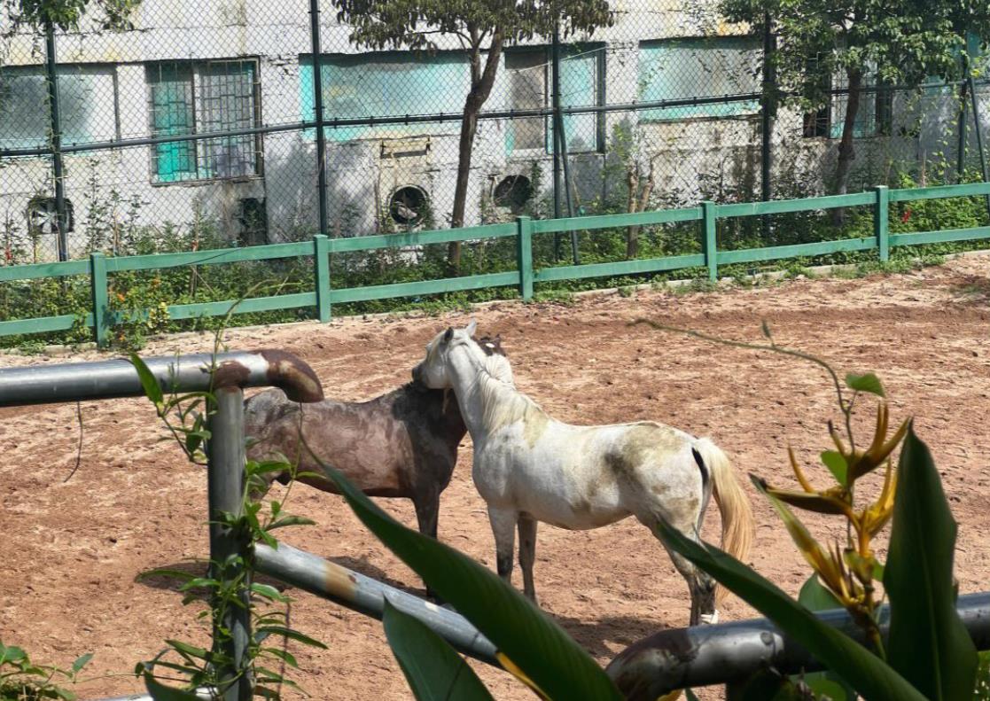 25平蛋糕店裝修只花3萬塊